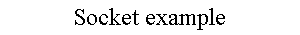 Socket example